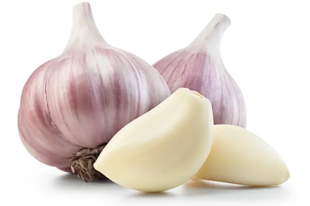 O česneku 028dddc4-a88e-4339-9e84-552d4bb29804