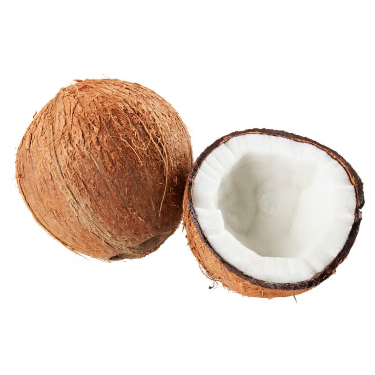 O kokosu f2ac3700-813e-41fe-9c5a-d6c0062227c2_741939631.jpeg