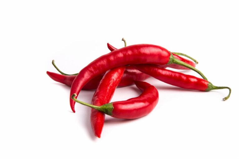 O chilli papričkách f36ee26488ba6003