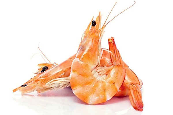 shrimps