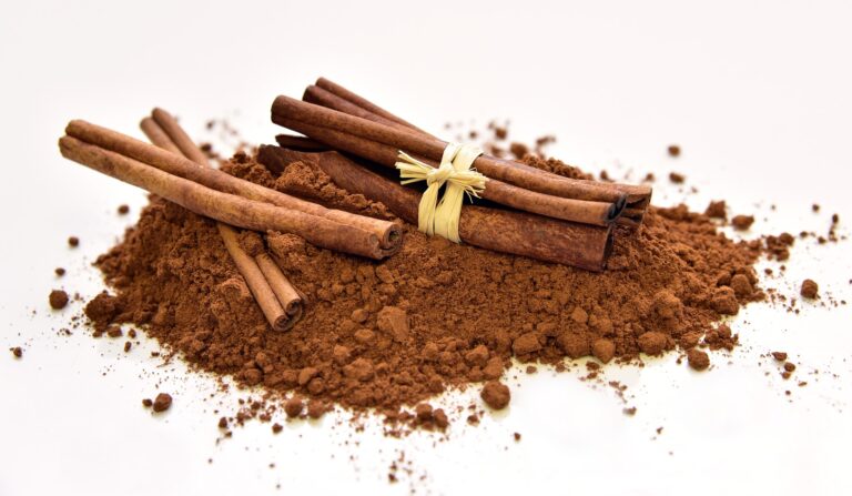 O skořici _vyr_dl_237_11_cinnamon-3856840_1920