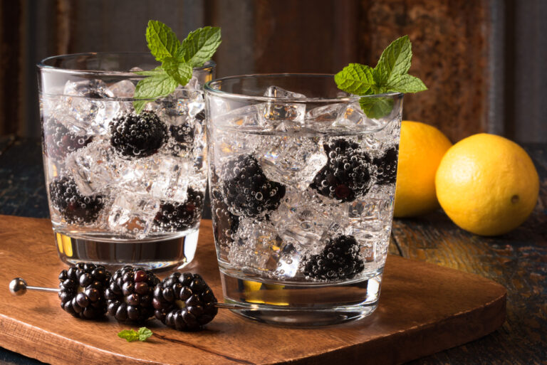 Ostružinový Gin & Tonic 5d8c5f53a456409dc79be14b888a325c