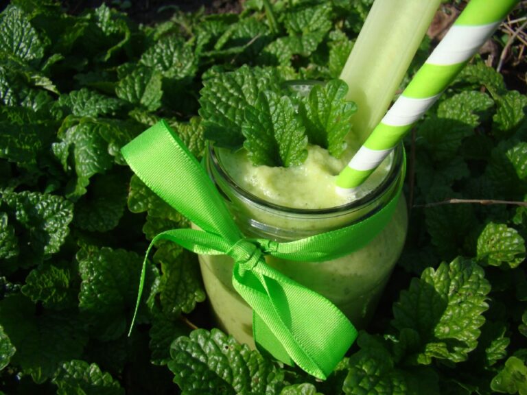Ranní zelené smoothie s meduňkou 6631normal