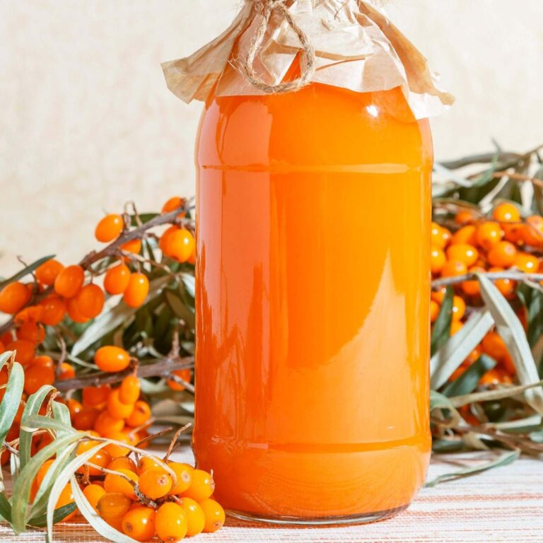 Rakytníkový sirup 2 shutterstock_1511955626-scaled-e1654169170931