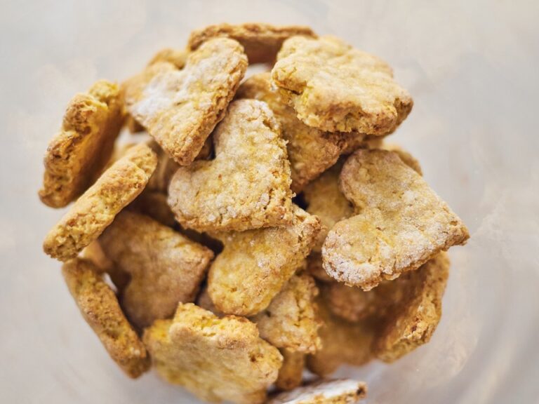 Medovo-mrkvové domácí piškoty pro psy 11218