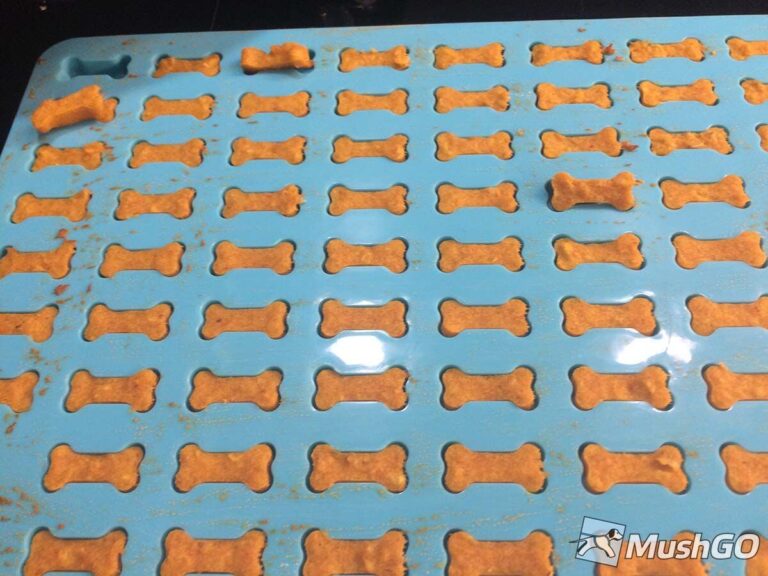 Tuňák s dýní - pamlsky pro psy 57532_107