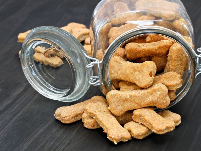 Zdravé psí sušenky psi-susenky-pes-banan