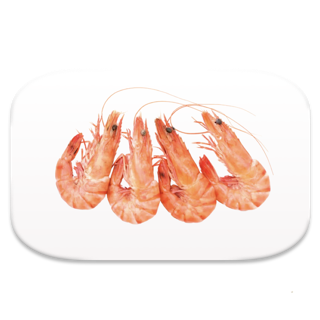 Ryby a mořské plody