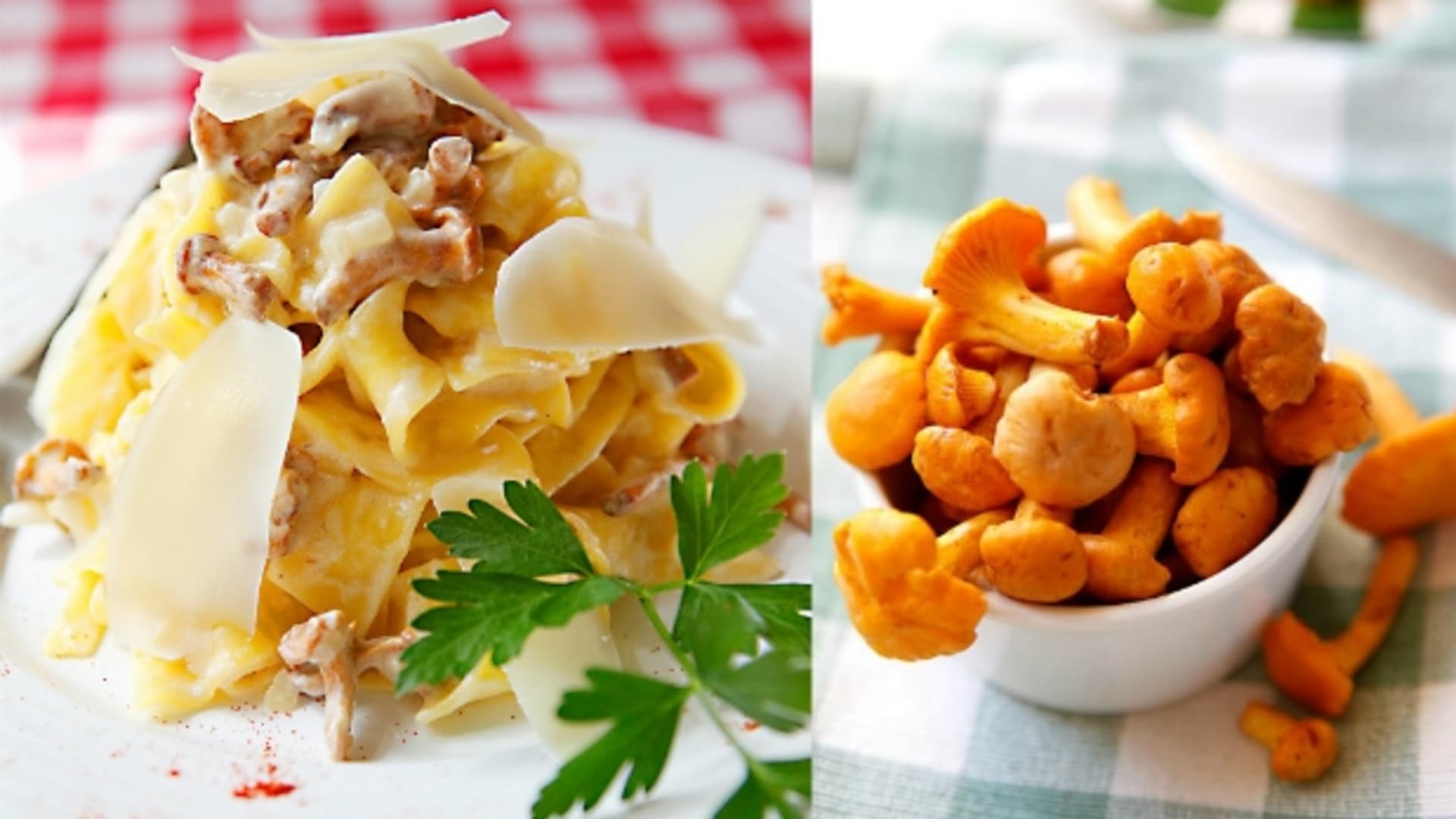 Pappardelle s liškovou omáčkou